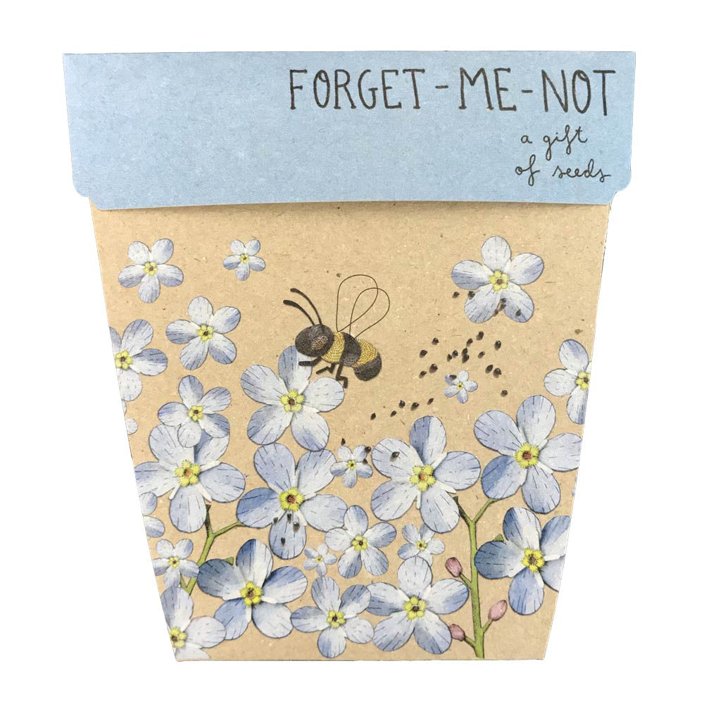 Sow n sow Forget-me-not Gift of Seeds