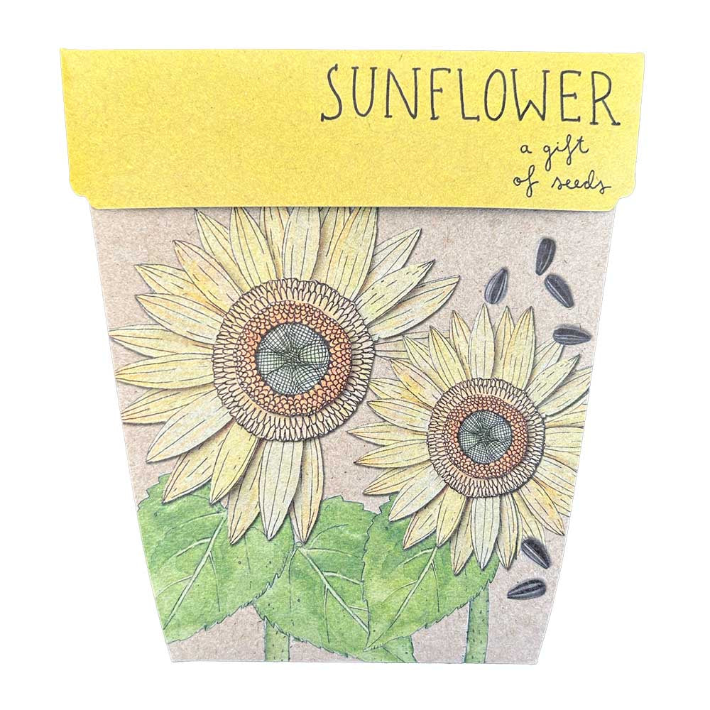 Sow n Sow Sunflower Gift of Seeds