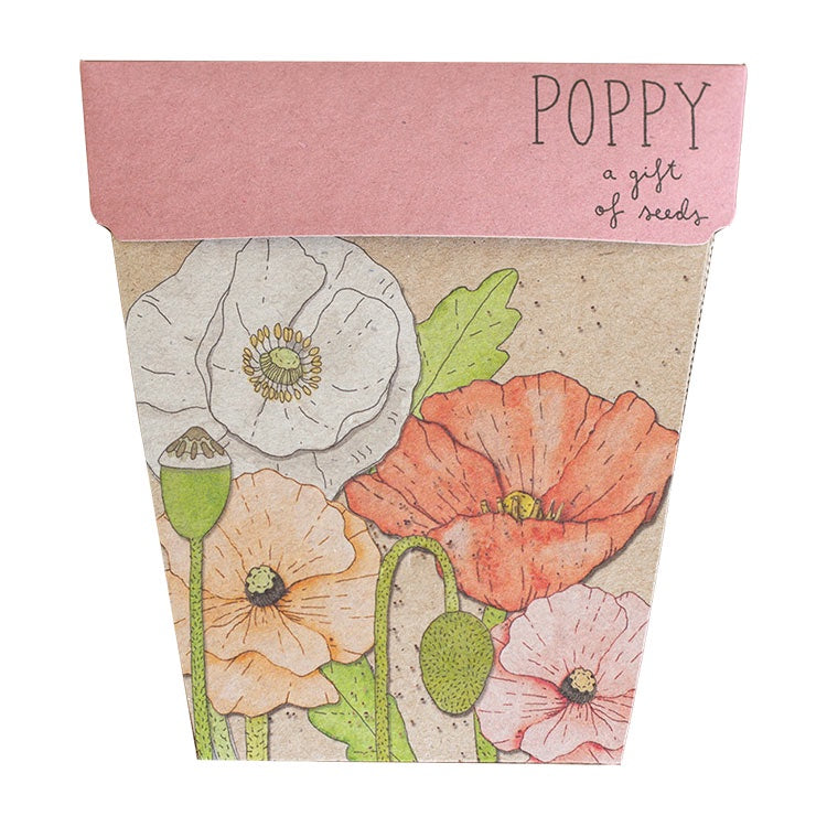 Sow N Sow Poppy Gift of Seeds