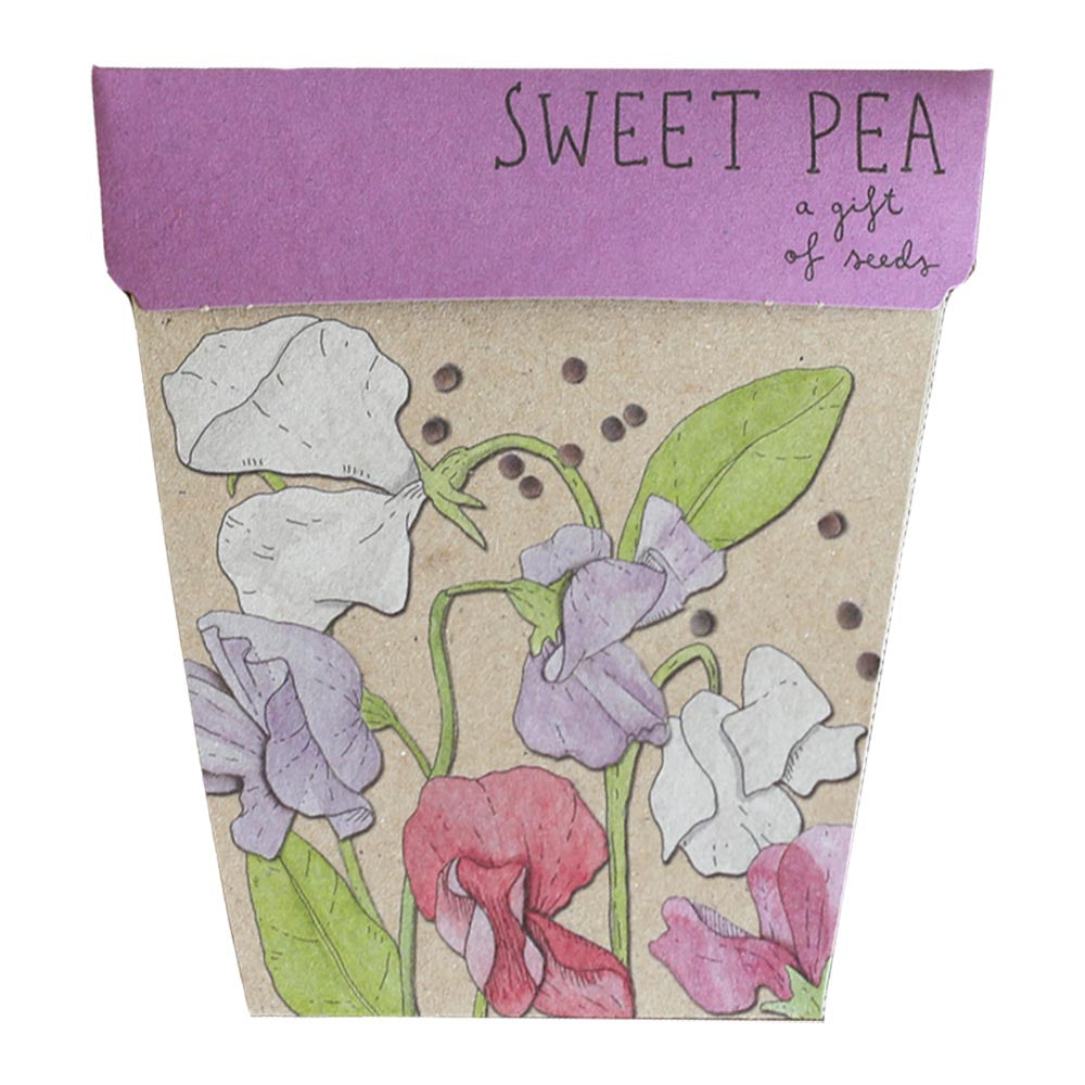 Sow n Sow Sweet Pea Gift of Seeds