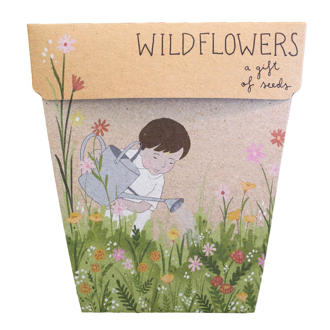 Sow N Sow Wildflowers Gift of Seeds